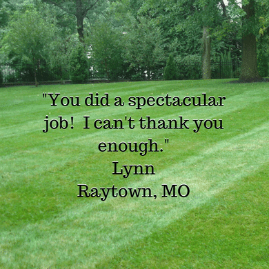 Lawn Service Testimonial