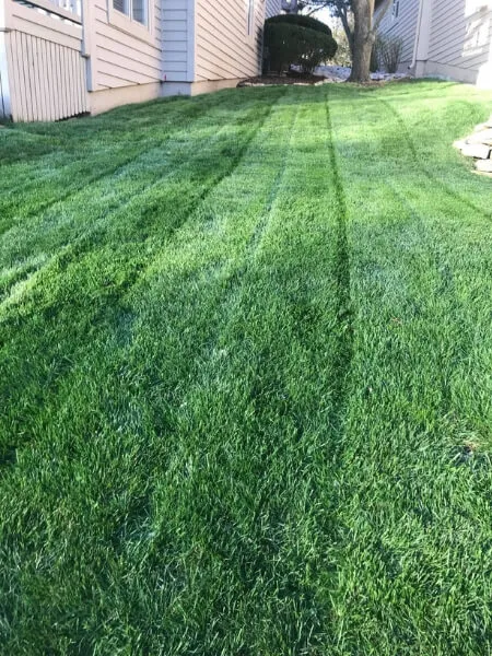 Affordable Lawn Mowing Service Near Me