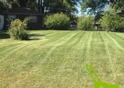Lawn Care Service Lees Summit MO