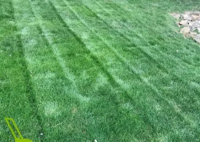 Lawn Mowing Blue Springs MO