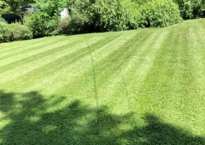 Lawn Mowing Service Independence MO