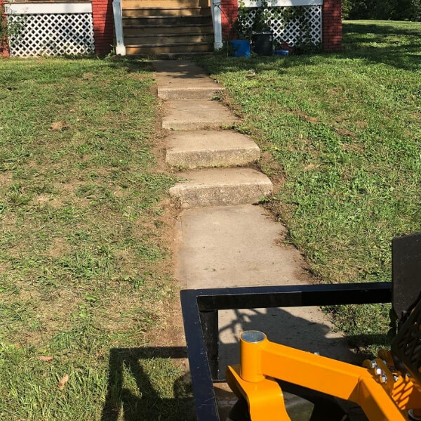 Lawn Mowing Service Results After Picture