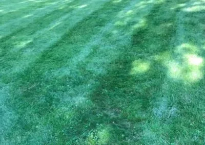 Lawn Service Kansas City MO