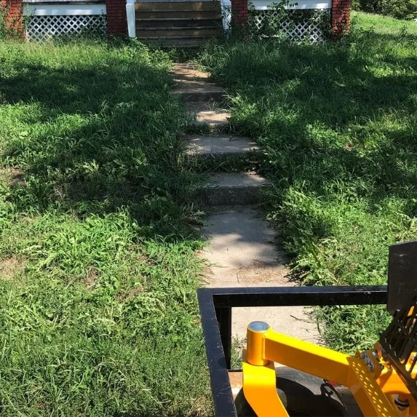 Lawn Service Results After Picture