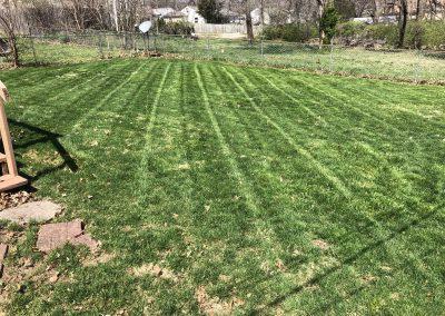 Best Lawn Mowing Service in Independence, Missouri