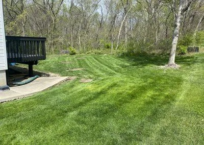 Lawn Mowing Service Blue Springs, Missouri