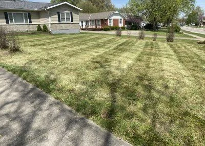 Lawn Mowing Service Lee's Summit, Missouri