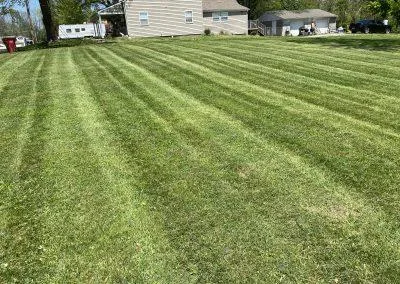 lawn health maintenance
