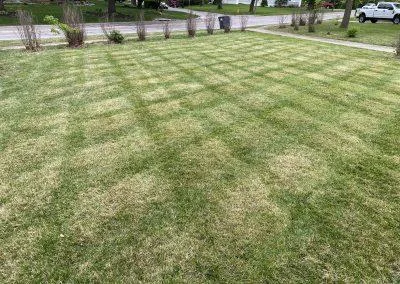 Lawn Mowing Service Lee's Summit, Missouri