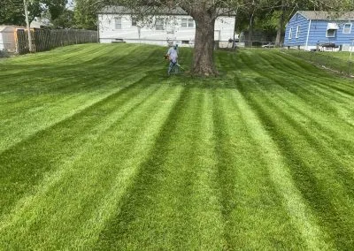 #1 Lawn Mowing Service