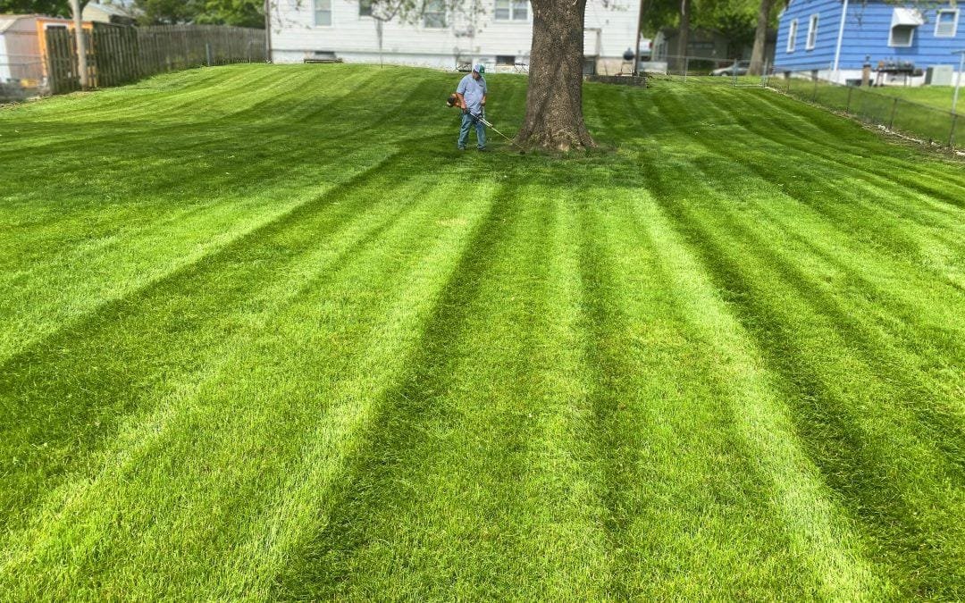 #1 Lawn Mowing Service | Why You Should Choose A Lawn Care Service.