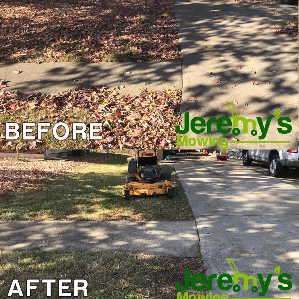Leaf removal: before and after.