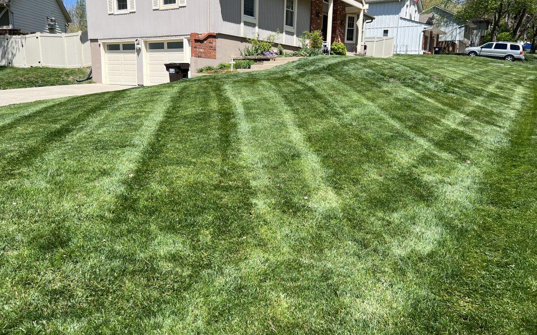Lawn Care Best Practices for Independence, Missouri