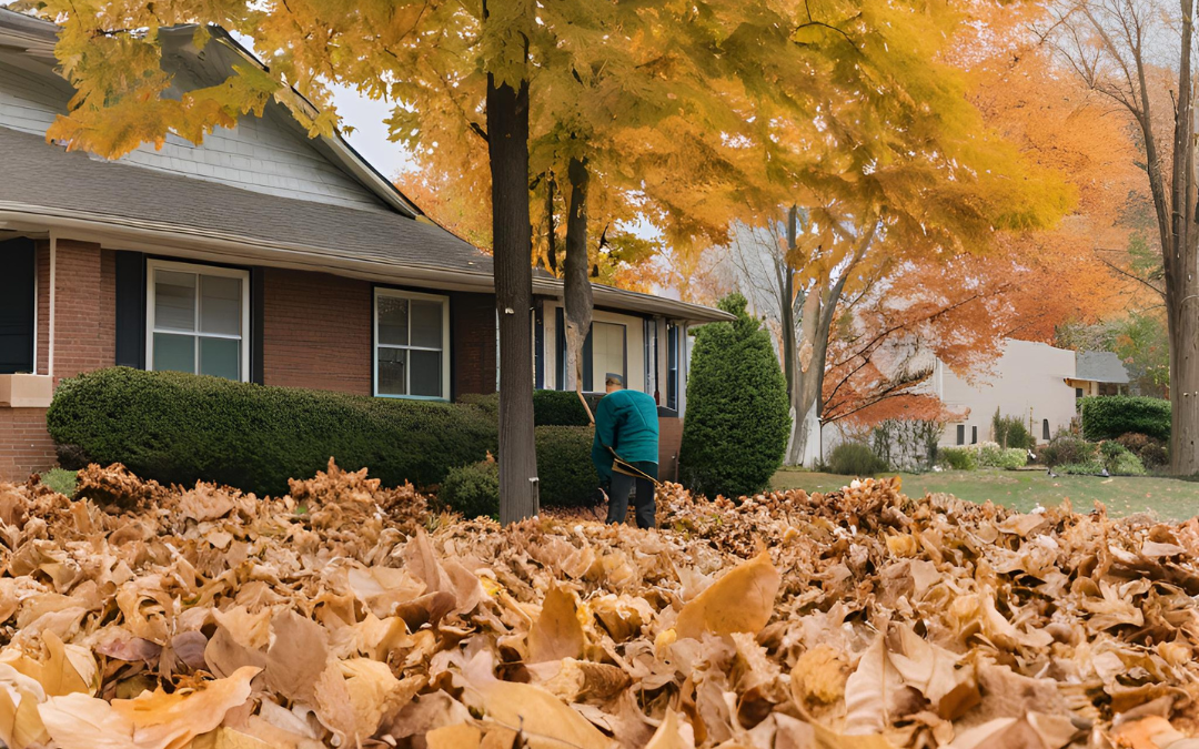 Leaf Cleanup Independence, Missouri.